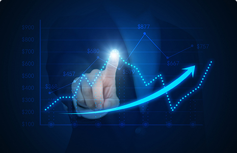 完善制度，规范流程，严格履行信息披露义务