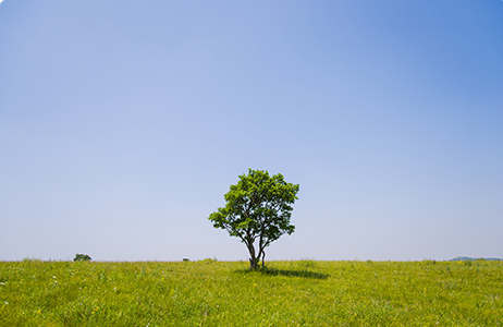 完善制度，规范流程，严格履行信息披露义务